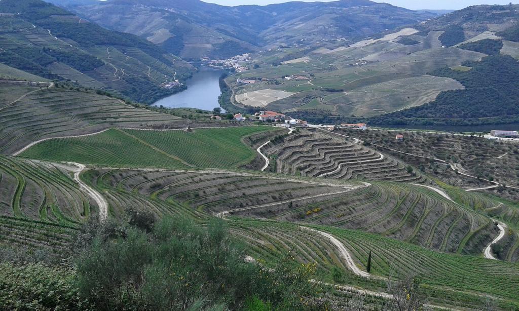 Vistadouro Peso da Regua
